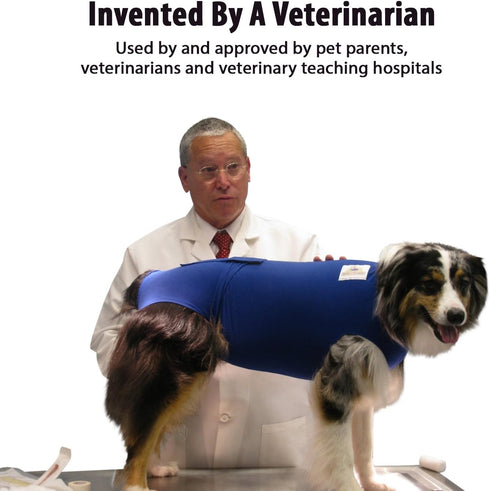 Secures Male Dog Diapers or Female Dog Diapers, Wrap Around Legs for Superior Fit, Fits LL, Blue