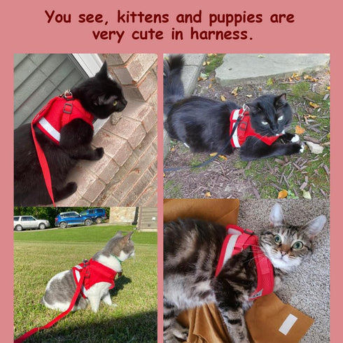 Cat and Puppy Harness with Leashes Set, Escape Proof Adjustable Reflective Soft Mesh Vest for Outdoor Harness