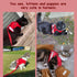 Cat and Puppy Harness with Leashes Set, Escape Proof Adjustable Reflective Soft Mesh Vest for Outdoor Harness