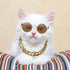 7 Pieces Dog Costume Set Include Adjustable Gold Pet Chain and Funny Cute Cat Small Dog Sunglasses Retro Pet Sunglasses for Cat Puppy Small Medium Dog (Fresh Colors,Delicate Style)
