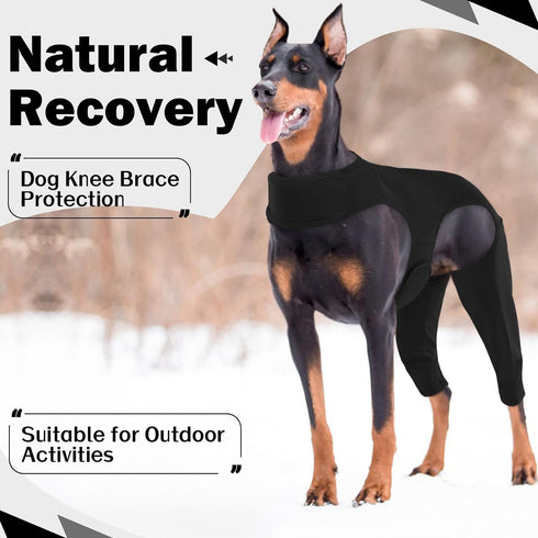 ROZKITCH Dog Surgery Recovery Sleeve for Rear Right Left Leg, Wound Elbow Brace Protector, Black 2XL