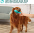 Dog Chew Toys for Aggressive Chewers - Indestructible Tough Squeaky Toys for Large Dogs, Super Chewer, Heavy Duty