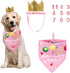 ADOGGYGO Dog Bandana Hat Set for Birthday Party Supply, Large Pink Scarf for Medium Large Dog