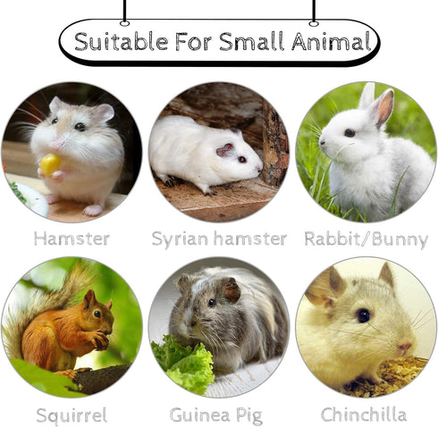 Hamiledyi 5 Pcs Chinchilla Lava Blocks, Fruit Shaped Rabbit Chew Toys for Small Animals