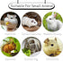 Hamiledyi 5 Pcs Chinchilla Lava Blocks, Fruit Shaped Rabbit Chew Toys for Small Animals