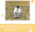 Chinchilla Squirrel(6 Rabbit Grass Mats,Bunny Grass Mat,Woven Straw Mat Bed Rabbits Hay Mat Sleeping Bunny Natural