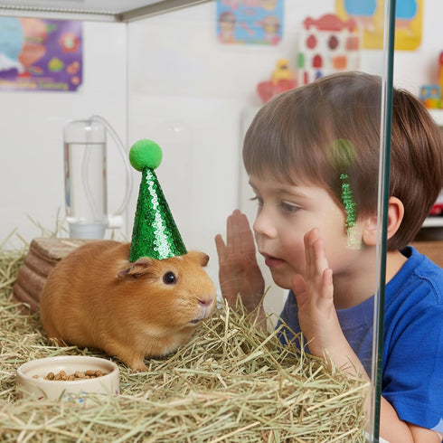 ZHLKHIOP 12PCS 2.36inch Set Stuffed Animal Party Hats, Mini Birthday Hats for Stuffed Animals, Dog Party Hat with Pom
