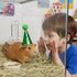 ZHLKHIOP 12PCS 2.36inch Set Stuffed Animal Party Hats, Mini Birthday Hats for Stuffed Animals, Dog Party Hat with Pom