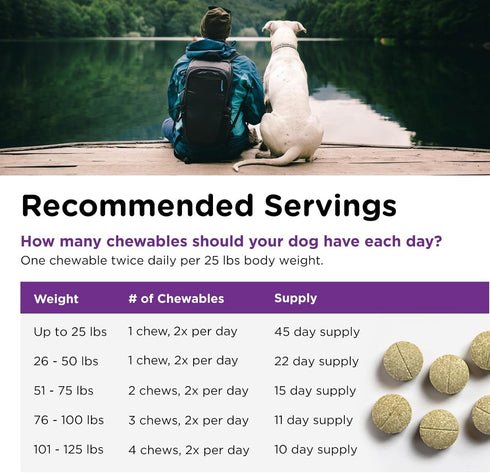 Immune 90 Nutri-Vet Bladder Control Supplement, Cranberry Supplement, Dog Products, Support, Helps Dog Urinary