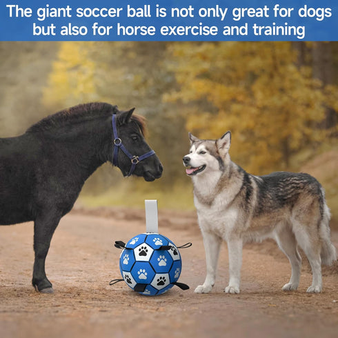 QDAN Extra Large Dog Toys, Soccer Ball - Durable Dog Balls for Extra Large Dogs, Outdoor Water Toy (9 Inch)