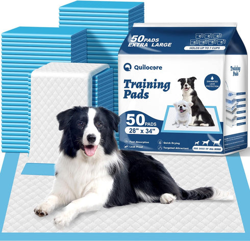 50 Count 28 x 34 XL Disposable Dog Pee Pads, Super Absorbent