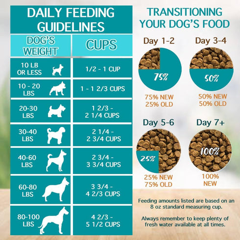 Immune 4.5lb (Pack 2) Chicken Soup for the Soul All Natural Premium Adult Dry Dog Food, Real Meat First Ingredient, No
