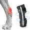 Powerful Dog Canine Rear Leg Hock Joint Brace - Large Compression Wrap for Dog Back Leg Support
