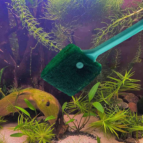 3 PCS Double-Sided AOODOOM Aquarium Fish Tank Algae Cleaning Brush - Non-Slip Handle Sponge Scrubber