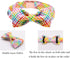 Lionet Paws Easter Dog Collar with Bowtie, Colorful Cute Cotton Bowtie Dog Collar with Metal Buckle for Medium Dogs