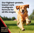 Victor Super Premium Dog Food – Nutra Pro, Gluten Free, High Protein Low Carb, 5 lbs