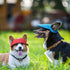 Geyoga 4 Pcs Dog Baseball Cap, Sun Protection Visor Hats with Ear Holes and Adjustable Chin Strap for Small Pets