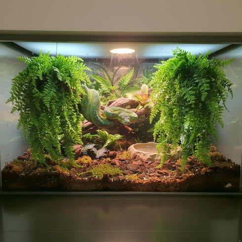 (2 Pack) PINVNBY Reptile Plants Hanging Fake Vines Boston Climbing Terrarium Plant with Suction Cup for Bearded Dragons