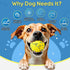 (4 Kimee Dog Balls Tennis Ball Toys Dog Toys for Aggressive Chewers Durable Teething Chew Toys Water Toy Fetch Ball