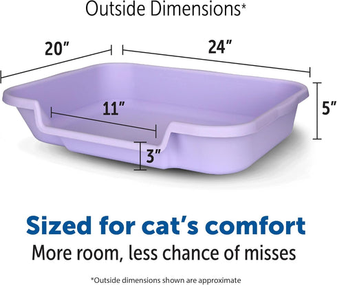 KittyGoHere Senior Cat Litter Box - 1 Pack Large Storybook Lavender Low Entrance, Perfect for Senior Cats