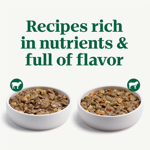 Pack, 3.5 oz. (12 Count, Pack 2) Nutro Natural Choice Cuts in Gravy Wet Dog Food, Grain Free Dog Food Wet Lamb and Beef