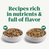 Pack, 3.5 oz. (12 Count, Pack 2) Nutro Natural Choice Cuts in Gravy Wet Dog Food, Grain Free Dog Food Wet Lamb and Beef