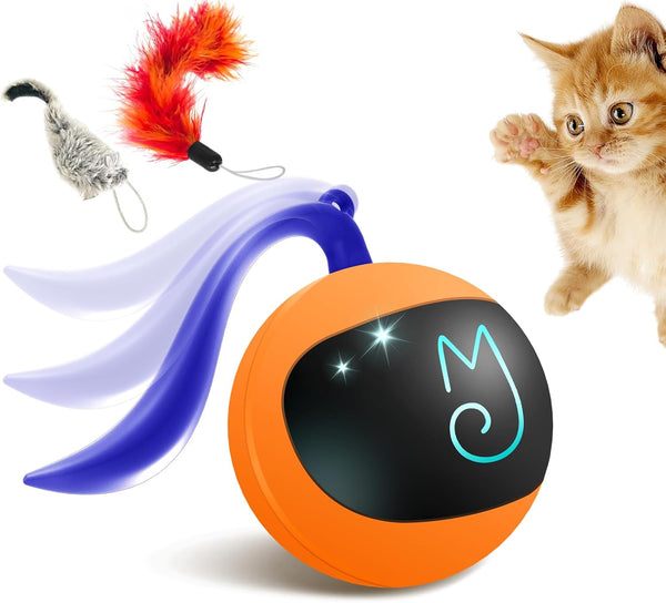 Migipaws Interactive Cat Ball Toy Set, Automatic Rolling Chase Ball with Fluffy Tail, Rechargeable (Orange)