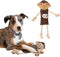 SPOT Dura-Fused Leather Jungle Animals Dog Toy with Squeakers and Rope Limbs, 14in, Assorted Styles