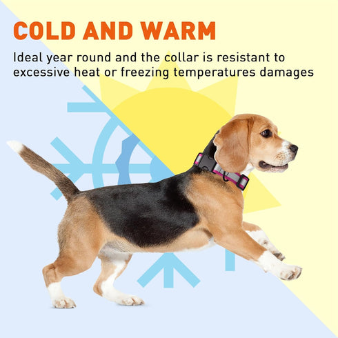 BioThane Reflective Dog Collar, Waterproof Heavy Duty Quick Release Collar with Sturdy Buckle in Fun Modern Colors