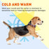 BioThane Reflective Dog Collar, Waterproof Heavy Duty Quick Release Collar with Sturdy Buckle in Fun Modern Colors