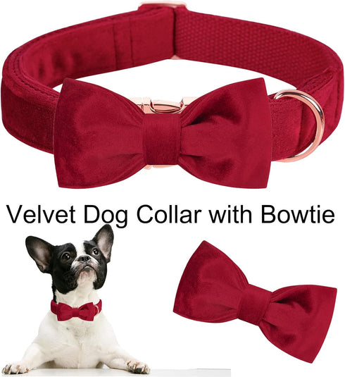 ARING PET Velvet Dog Collar - Soft Bowtie with Metal Buckle, Cute Comfortable Christmas Red Collar for Small Medium