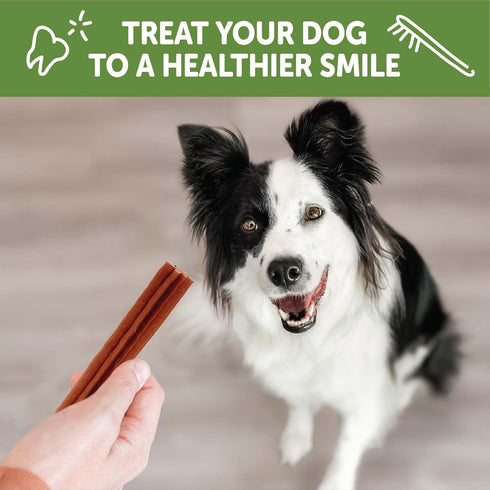 WHIMZEES by Wellness 14 Count Natural Dental Chews for Medium Breed Dogs, Grain-Free, Freshen Breath & Fight Plaque