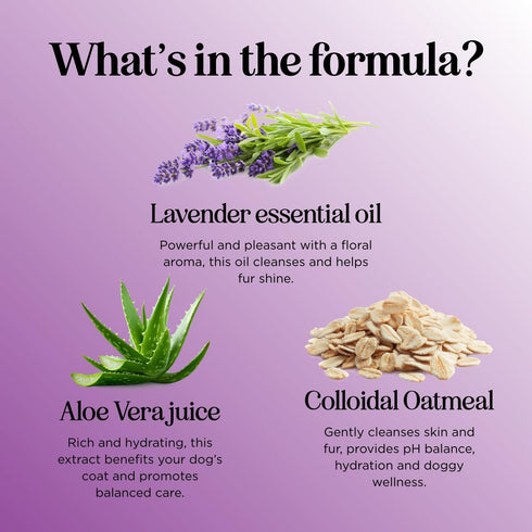 Soothing Oatmeal Shampoo for Dogs - Cleansing and Moisturizing Aloe & Oatmeal Dog Shampoo (Lavender Vanilla)