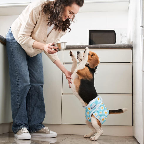 3 Pack Pet Soft Female Dog Diapers, Washable Dog Diapers for Dogs in Heat, Reusable Dogs Period Panties, Puppy Diapers