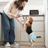 3 Pack Pet Soft Female Dog Diapers, Washable Dog Diapers for Dogs in Heat, Reusable Dogs Period Panties, Puppy Diapers