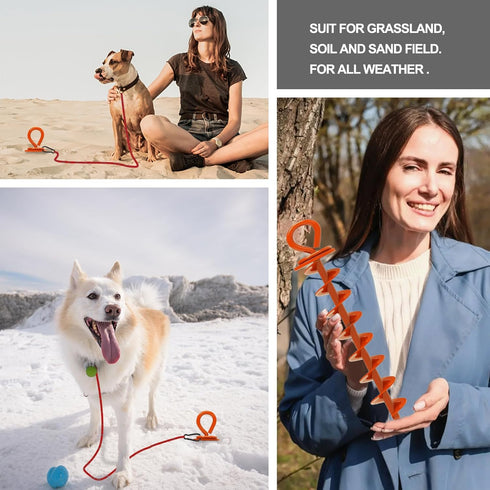 210 lbs,Dog Stakes(1,Large,Orange) Eurmax USA Heavy Duty Dog Tie Out Stake for Large Dogs up to Stakes