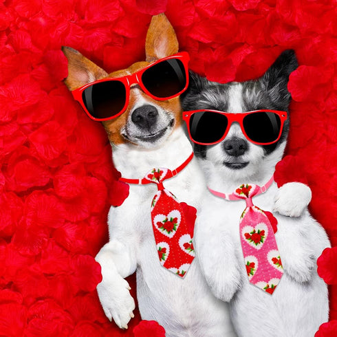 24pcs Valentine's Day Dog Collar Bow Ties Set, Adjustable Holiday Grooming Bow Ties for Small Dogs