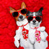 18pcs Valentines Day Dog Neck Ties, Adjustable Pink Red Small Dog Collar Ties for Holiday Grooming Accessories