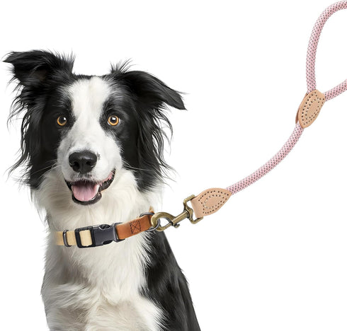 Mile High Life Short Dog Leash, Short Leash for Large Dogs, Reflective Dog Lead with w Leather Tip, Heavy Duty Leash for Large and Medium Dogs Training and Walking(Pink, 18 Inch)
