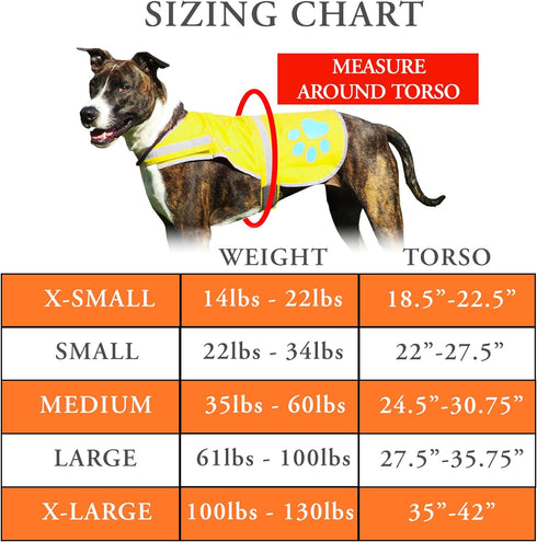 Urban Dog Reflective Vest. Our Fluorescent Hi-Visibility Dog Jacket in Multi-Colors Helps to Safeguard Your PUP in The Outdoors On and Off Leash