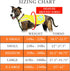 Urban Dog Reflective Vest. Our Fluorescent Hi-Visibility Dog Jacket in Multi-Colors Helps to Safeguard Your PUP in The Outdoors On and Off Leash