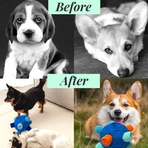 Snuffle Ball for Dogs, Unbreakable Interactive Toy, Foraging Snuffle Mat, Treat Dispenser, Puzzle Toys for All Pets