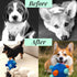 Snuffle Ball for Dogs, Unbreakable Interactive Toy, Foraging Snuffle Mat, Treat Dispenser, Puzzle Toys for All Pets