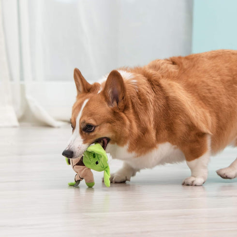 Star Wars for Pets Dog Toy Yoda 9 Inch Plush Flattie, Medium Yoda Dog Toy for Daily Play, Stuffingless Dog Toy