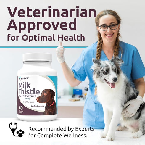 K9 Select Milk Thistle for Dogs, 100mg - 60 Beef Flavored Tablets for Canine Liver Health Supplement