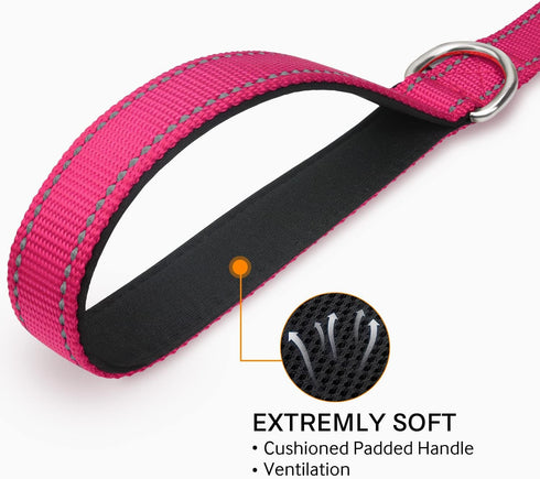 Joytale Double-Sided Reflective Dog Leash, 6 FT/5 FT/4 FT, Padded Handle Nylon Heavy Duty Leashes for Medium & Large