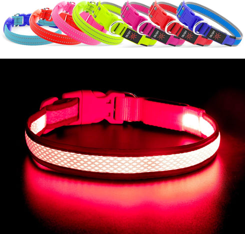 YFbrite Light Up Dog Collar, USB Rechargeable LED Puppy Collar, Adjustable Glowing Lights for Night Walking