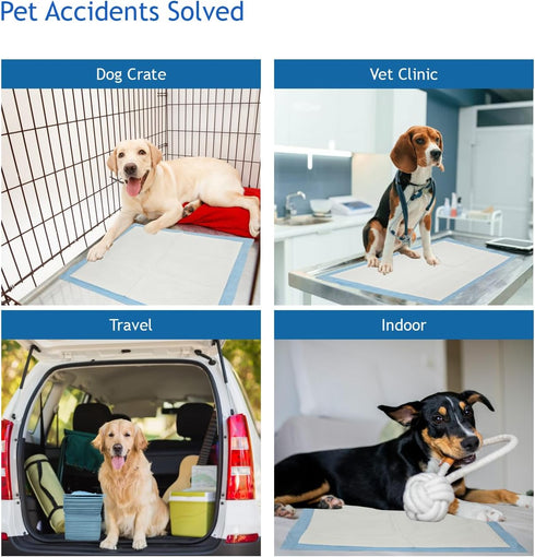 200 Count, 22 22 Inch 6-Layer Puppy Pee Pads, x Dog Wee Wee Training Pads, Leak-Proof Quick Absorb Design for Pet Potty