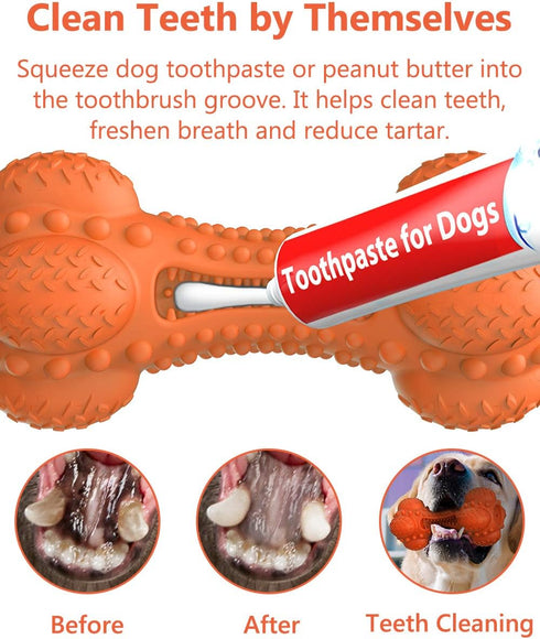 SCHITEC Two Squeaky Dog Chew Toys - Tough Indestructible Rubber Bone with Toothbrush for Large Medium Dogs