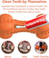 SCHITEC Tough Durable Natural Rubber Bone Chew Toy for Large Medium Breeds, Teeth Cleaning